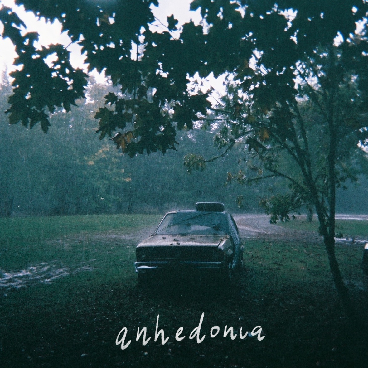 anhedonia album cover